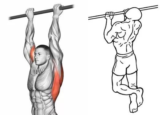 引体向上真正的“动作之王”！隔天训练一次这些好处会找上你(图4)